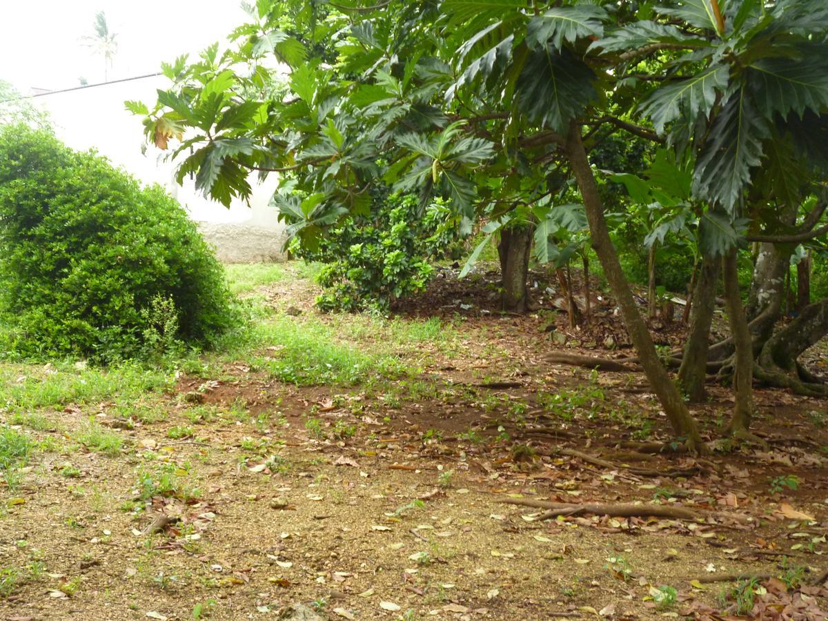 Posada Nativa Miss Casira San Andrés Buitenkant foto
